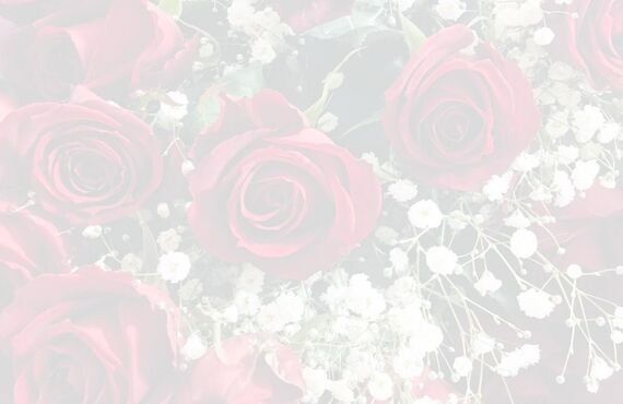 神奈川で婚活するなら婚活サロンサンティエ｜おすすめのIBJ正規加盟　結婚相談所｜ベーシックコースのサービス